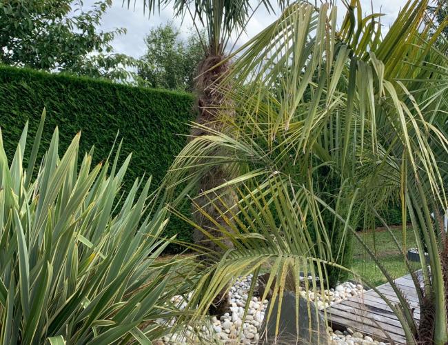 Terrasse en bois exotique Bussy Saint Georges (77)