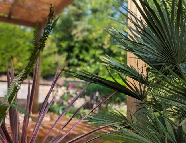 pose de terrasse en bois dans le 77