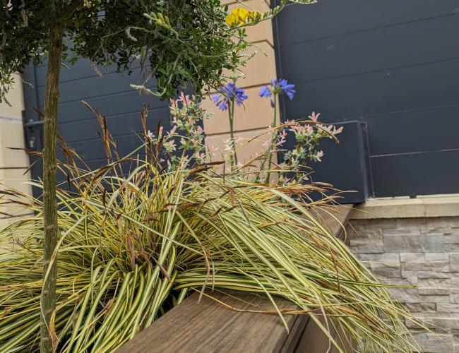 terrasse en bois composite Île de France